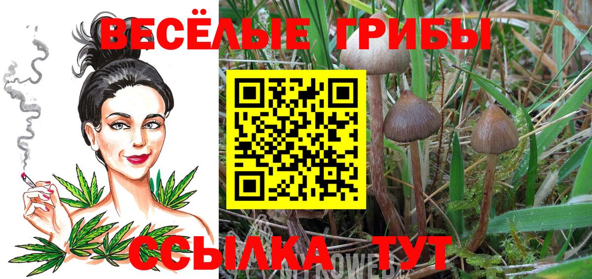 Псилоцибиновые грибы мухоморы  Вход с VPN  Галлюциногенные грибы Magic Shrooms  Тихвин 